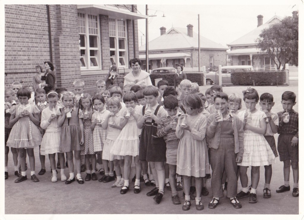 Children at the Ethelton Primary School drinking milk made available free by the school milk programme in the early 60s.