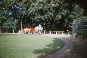 Samorn with a cartload of happy kids and adults enjoying a day at at the Zoo