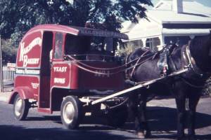 Nanette Mazey shared a photo and a memory of growing up in Adelaide while bread delivery was still by horse and cart; "This was take in the early 70's in Alpha Road, Prospect. I can't remember how often they used to come around." Great photo Nanette, thank you!
