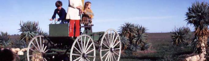 Remember Adelaide’s Cactus Garden? Photo courtesy Diana Field. You knew you were getting close to
Adelaide when you passed the Arizona
Cactus Ranch on Port Wakefield Road.