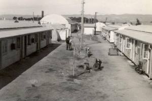 Photo from the Migration Museum SA. The Glenelg Migrant Hostel where John D'Arcy first arrived in Adelaide