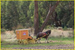 Bread delivery by horse and cart. We are the last generation to witness horse and cart deliveries