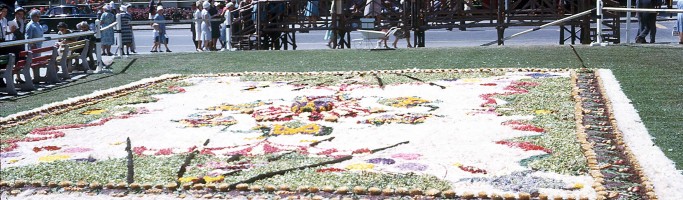 Photo courtesy of Elaine Hall. One of the large floral displays on Adelaide's Flower Day in  the 60s