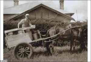 Photo from the Advertiser. Some people may still recall milk being delivered in a billy which had been put out for the milkman, the milk ladelled out from large milk urns.    