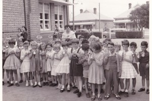 Children at the Ethelton Primary School drinking milk made available free by the school milk programme in the early 60s.