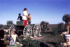 Photo courtesy Diana Field. You knew you were getting close to
Adelaide when you passed the Arizona
Cactus Ranch on Port Wakefield Road.