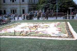 Photo courtesy of Elaine Hall. One of the large floral displays on Adelaide's Flower Day in  the 60s