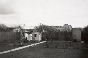 Photo from Museum Victoria. A typical backyard for the 50s and 60s, a fowl house, outside lavatory and a clothes line. 